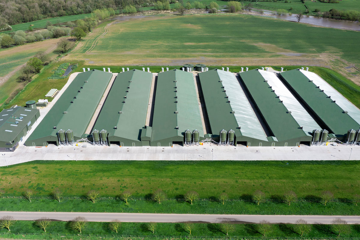Broiler Houses Knights Agriculture Broiler Houses Knights Agriculture